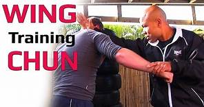 Wing Chun kung fu Training Lesson 1 | Master Wong