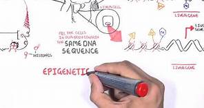 Epigenetics - An Introduction