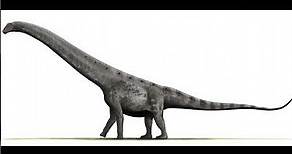 Argentinosaurus || Description and Facts!