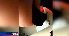 Man who tased mouse to death on viral video could face charges