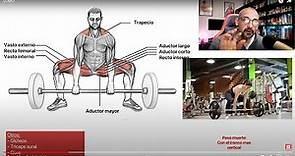 Que músculos se usan en el Peso Muerto SUMO?