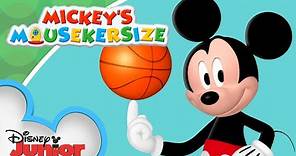 Mickey's Mousekersize! | 20 Minute Compilation | Mickey Mouse Clubhouse | @disneyjunior