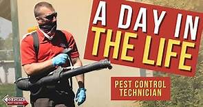 A Day in the Life of a Pest Control Technician // Working as a Professional Exterminator