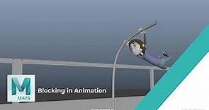 Animation Blocking