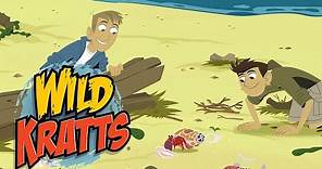 Wild Kratts | Nature's Wonders! | Kids Videos