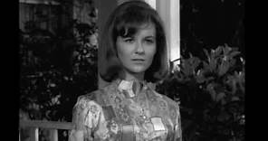 Shelley Fabares - Welcome Home