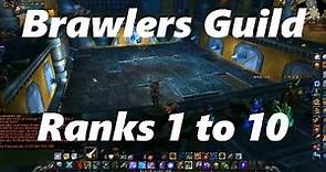 Brawlers Guild All bosses Rank 1 to 10