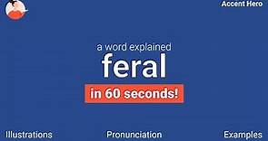 FERAL - Meaning and Pronunciation
