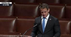 Rep. Adam Kinzinger delivers final speech as Congressman