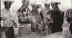 Norman Borlaug: A Lifetime Fighting Hunger