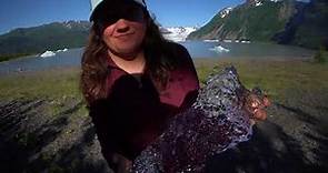 Homer Alaska - Kachemak Bay State Park Video Compilation