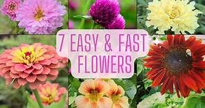 7 Easy & Fast Flowers To Grow From Seed. Beginner Friendly Annual Flowers!