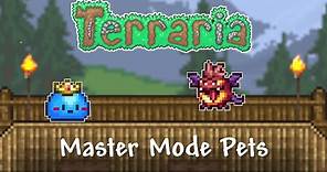 Terraria 1.4 | All Master Mode Pets