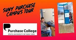 SUNY PURCHASE COLLEGE CAMPUS TOUR