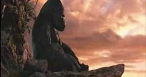 King Kong (2005) Beautiful Scene