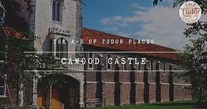 The A-Z of Tudor Places: Cawood Castle