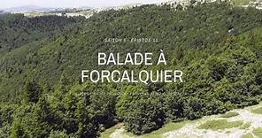Balade autour de Forcalquier - Terres de France