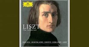 Liszt: Malédiction, S121