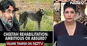 Conservationist Valmik Thapar On Threat To Cheetahs At Kuno Park | Left, Right & Centre