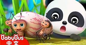 螞蟻搬豆 | 經典中文兒歌 | 熱門國語兒歌 | Kids Song | 童謠 | 動畫 | 卡通片 | BabyBus | 寶寶巴士