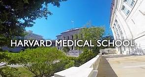 TOUR NA HARVARD MEDICAL SCHOOL | Luiz Hendrix