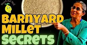 Unlock the Hidden Health Benefits of Barnyard Millet Nutrition