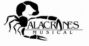 Micaela-Alacranes Musical