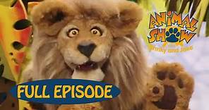 Animal Show | Zebra 🦓 / Lion 🦁 | Jim Henson Family Hub | Kids Cartoon
