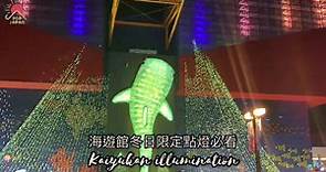 【#大阪聖誕必去】冬之海遊館巨型鯨鯊點燈開催💡 -... - PopDaily 波波黛莉的異想世界