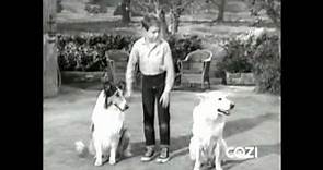 Lassie - Episode #348 - "Guide Dog" - Season 10, Ep. 25 - 04/05/1964