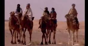 Nat Geo Wild Sahara, Il Nettare Della Vita