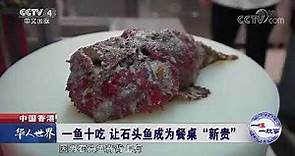 【中國中央電視台 ─ 一味一故事】香港鴻星讓石頭魚成為餐桌「新貴」