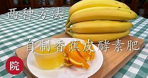 【彬彬有院】种•430两种方法自制天然香蕉皮营养液和香蕉皮酵素肥