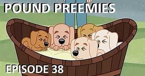 Pound Puppies - Pound Preemies - Episode 38 (FULL EPISODE)