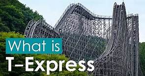 What is: T-Express - Everland Resort