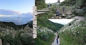 難得好天氣走一趟草嶺古道芒花季，遠眺一片銀白芒花下的龜山島罕見吐煙！