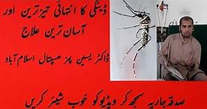 Fastest and easiest treatment of dengue Urdu/Hindi Dr Yaseen PIMS Hospital ISB 2020