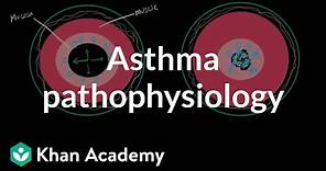 Asthma pathophysiology | Respiratory system diseases | NCLEX-RN | Khan Academy
