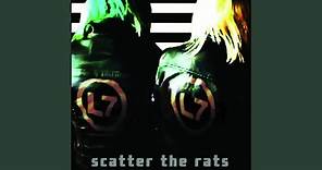 Scatter The Rats