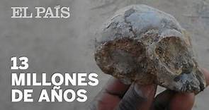 El hallazgo de un cráneo de 13 millones de años enciende el debate sobre el origen humano