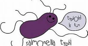 🦠🦠 Salmonelosis / Fiebre Tifoidea / Salmonela / Salmonella: Definición, Explicación