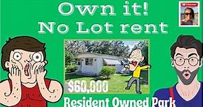 These Mobile Homes For Sale w/ NO LOT RENT // Zephyrhills, Florida