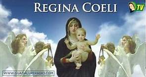 Regina Coeli- Guadalupe Radio TV