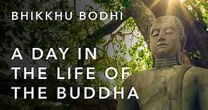 A Day in the Life of the Buddha | Bhikkhu Bodhi