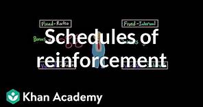 Operant conditioning: Schedules of reinforcement | Behavior | MCAT | Khan Academy