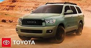 2022 Sequoia Overview | Toyota