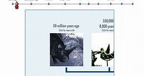 Interactive Timeline: Rhinos Past and Present