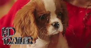 Project Puppies for Christmas Movie