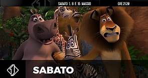 Madagascar - Sabato 1, 8 e 15 maggio, in prima serata su Italia 1