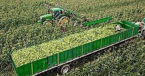 US Farmers Harvest 2.9 Billion Pounds Of Sweet Corn This Way - Farming